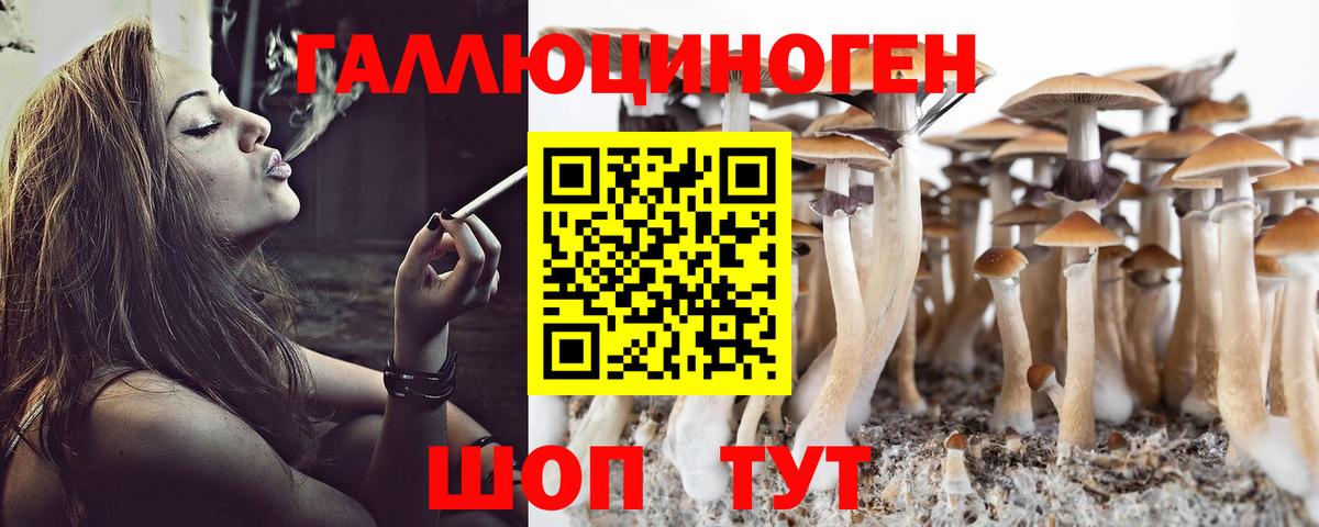 Алатырь  Галлюциногенные грибы MAGIC MUSHROOMS  Вход с VPN 