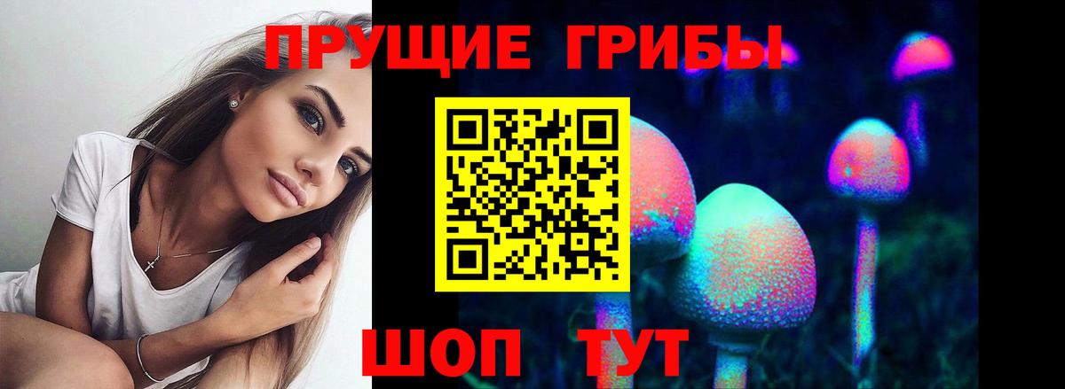 Псилоцибиновые грибы ЛСД Алатырь